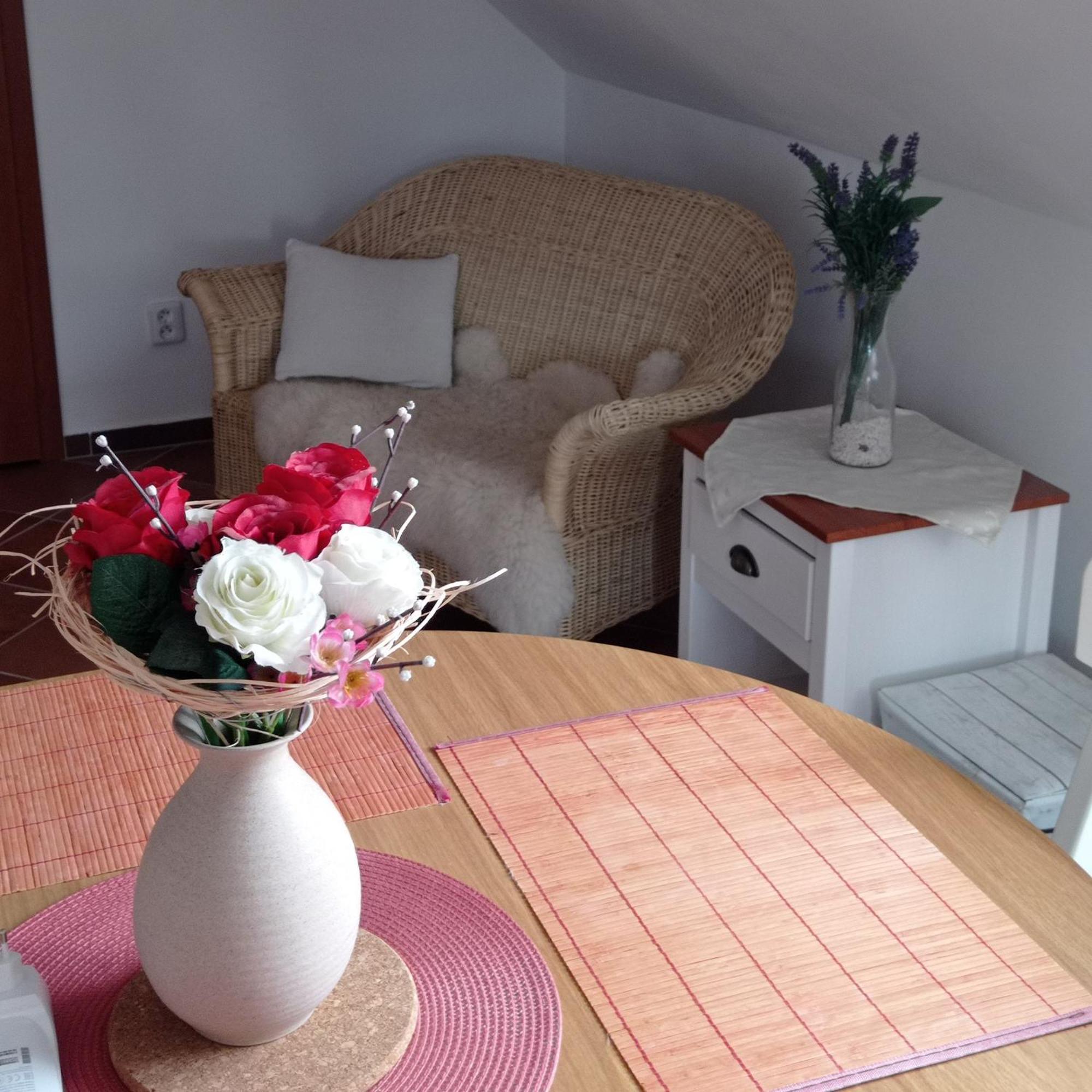 Apartmany U Orlickeho Jezera - Kamenice Klucenice Экстерьер фото